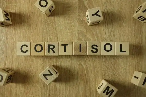 The Hidden Connection: How Stress Shapes Your Fitness and Body Composition 2 Image saying "Cortisol" and how stress Dover impacts your wellbeing and bodies shape